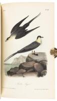 The Birds of America, From Drawings Made in the United States and Their Territories. Volume VII