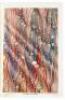 Varieties of Spanish Marbling - 2