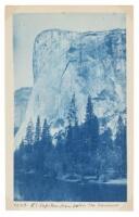 Yosemite National Park Cyanotypes