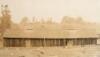 Panoramic photograph of a chicken farm in Penngrove, California, likely owned and operated by Japanese-Americans - 3