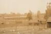 Panoramic photograph of a chicken farm in Penngrove, California, likely owned and operated by Japanese-Americans - 4