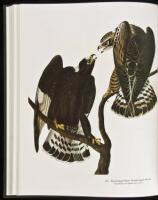 Audubon's Birds of America