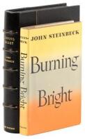 Burning Bright: A Play in Story Form