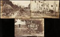 Three photographs of Hawaii by I.W. Taber