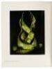 Polaroid Land Photography - 3