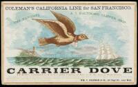 CARRIER DOVE