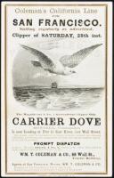 CARRIER DOVE