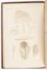 Key to North American Birds Containing a Concise Account of Every Species of Living and Fossil Bird - 2