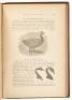 Key to North American Birds Containing a Concise Account of Every Species of Living and Fossil Bird - 3