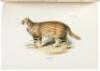 The Zoology of the Voyage of H.M.S. Beagle During the Years 1832-1836 - 2