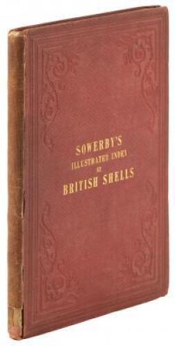 Illustrated Index of British Shells.