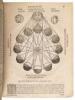 Cosmographia Petri Apiani, per Gemmam Frisium apud Louanienses medicum & mathematicum insignem, iam demum ab omnibus vindicata mendis ac nonnullis quoque locis aucta & annotationibus marginalibus illustrata... - 7