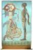 Denoyer-Geppert Anatomy Series - seven roll-down anatomy charts with original frame - 6