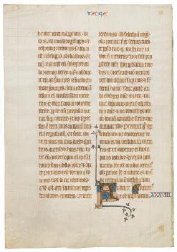 Illuminated manuscript leaf on vellum, from the Bohun Bible, mid-14th century