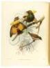 Monograph of the Paradiseidae or Birds of Paradise - 2