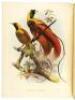Monograph of the Paradiseidae or Birds of Paradise - 4
