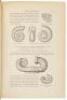 Leçons Elémentaires sur l'Histoire Naturelle des Animaux. [with] Manuel de Conchyliologie et de Paléontologie Conchyliologique. - 2