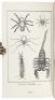 Diderot, Encyclopedia: the Complete Illustrations, 1762-1777 - 3