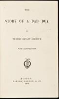 The Story of a Bad Boy