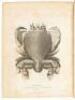 A Voyage Round the World; But More Particularly to the North-West Coast of America performed in 1785, 1786, 1787, and 1788 in The King George and Queen Charlotte, Captains Portlock and Dixon - 3