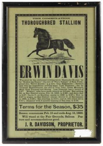 The Combination Thoroughbred Stallion Erwin Davis... Will stand at the Fair Grounds, Salinas...