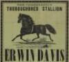 The Combination Thoroughbred Stallion Erwin Davis... Will stand at the Fair Grounds, Salinas... - 2