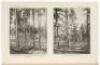Nearly complete lot of Annual Reports in volumes, of the Bureau of American Ethnology to the Secretary of the Smithsonian Institution [with] broken run of Bureau of American Ethnology Bulletin - 3