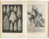 Nearly complete lot of Annual Reports in volumes, of the Bureau of American Ethnology to the Secretary of the Smithsonian Institution [with] broken run of Bureau of American Ethnology Bulletin - 11