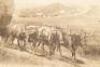 "Emigrant Train" - 5