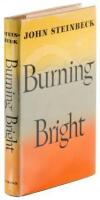 Burning Bright: A Play in Story Form