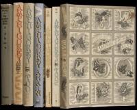 Seven Amphigorey volumes - various editions of various Amphigorey titles