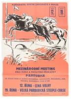 International steeplechase race poster