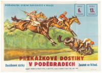 Prekazkove Dostihy v Pderbradech, Dostihove sazky Zacatek ve 14HOD / Steeplechase in Pdoebrady, Racing Bets start at 2pm