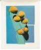 Space Fruit: Still Lifes - a Suite of Lithographs - 3