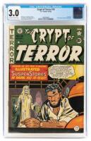 CRYPT OF TERROR No. 19