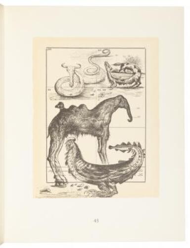 Les Métamorphoses Érotiques. Coix de dessins exécutés de 1940 à 1968