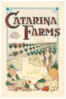 Catarina Farms: Where Sunshine Spends the Winter