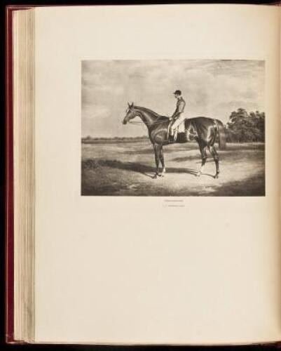 Cherished Portraits of Thoroughbred Horses from the Collection of William Woodward