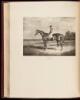 Cherished Portraits of Thoroughbred Horses from the Collection of William Woodward