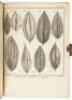 Voyage aux Moluques et a la Nouvelle Guin&eacute;e, fait sur la galere la Tartare en 1774, 1775 & 1776 par ordre de la Compagnie Angloise - 7