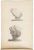 Sketchbook with original pencil drawings by William Hammond Hall of Oregon & California, 1867-68 - 9