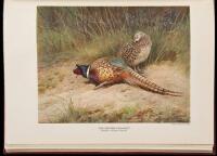 The Natural History of British Game Birds