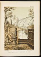 The Book of Duck Decoys, Their Construction, Management, and History