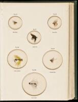 The Fly-Fisher's Entomology with Directions for making the artificial representation of each fly; and a few observations and instructions on Trout and Grayling Fishing