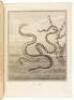 Outlines of the Globe [comprising] The View of Hindoostan [with] The View of India Extra Gangem, China, and Japan [and] The View of the Malayan Isles, New Holland, and the Spicy Islands - 7