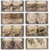 The Grand Ca&ntilde;on of Arizona Through the Stereoscope