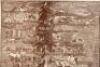 The Redwood's Parallel in History - 4