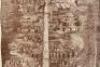 The Redwood's Parallel in History - 5
