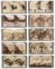 The Grand Ca&ntilde;on of Arizona Through the Stereoscope - 2