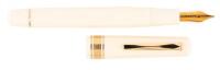 Bibliotheque Nationale Fountain Pen